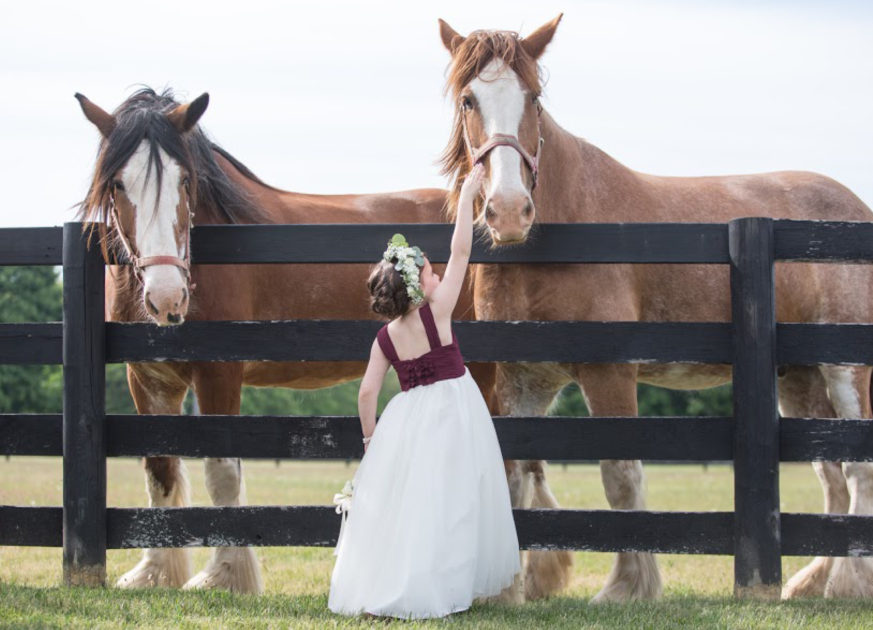 Flower girl with the horses