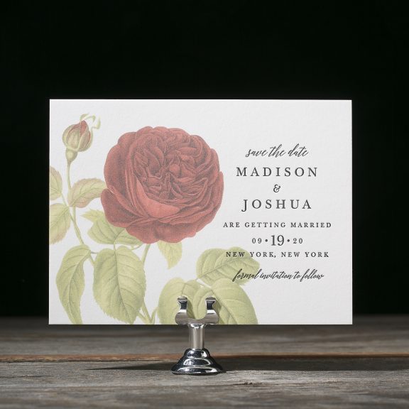 American Beauty by Bella Figura, classic, traditional letterpress save the date with red floral detail